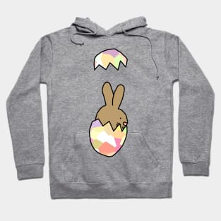 Easter Bunny Rabbit Funny Easter Egg Hoodie